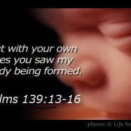 sanctity of life quotes