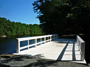 Co Workers Are Like Family Quotes