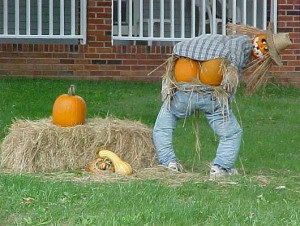 20 Funny Halloween Photos and Display Ideas