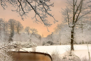 Snow landscape at sunrise, near a pond