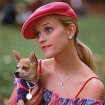 Especially now that I have Bandit. He's the Bruiser to my Elle.