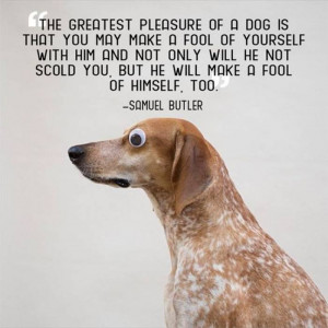 21 Great Quotes about Pets — After reading these quotes you will ...