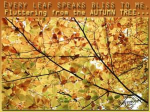 Every Leaf Speaks Bliss To Me, Fluttering From The Autumn Tree