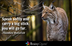 ... softly and carry a big stick; you will go far. - Theodore Roosevelt