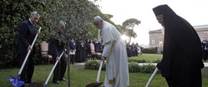 Pope Francis Says 99% Of Vatican Opposed Palestine-Israel Prayer ...