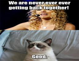 Taylor Swift And Grumpy Cat Funny Lyrics Picture
