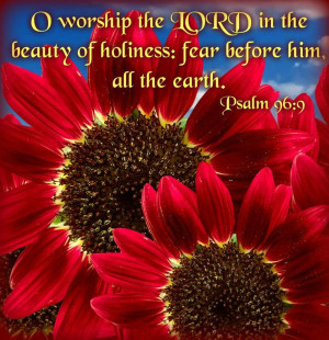 http biblepromisesapp com biblegram