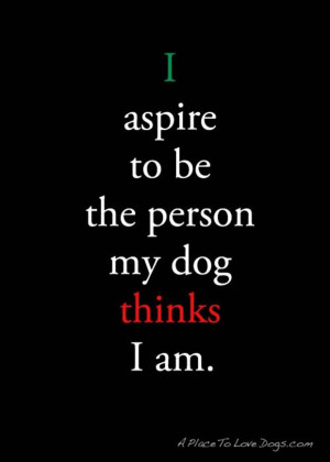 funny quotes, be the person your dog thinks you are