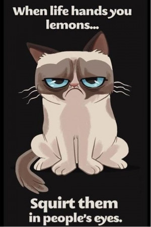 Grumpy-cat-is-grumpy.jpg