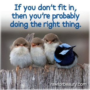 If you don’t fit in, then you’re probably doing the right thing.