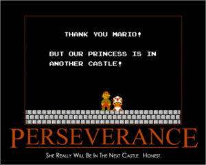 perseverance Image