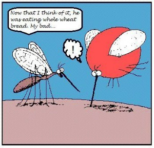 Food Allergy Memes Funny Lots Pics