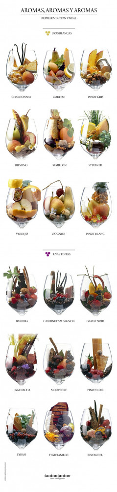 Great poster of grape Aromas, Aromas y Aromas by @taninotanino