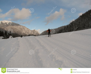 landscape showing a cross country ski run with person skiing