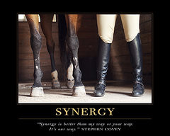 Horse Inspirational Quotes Framed Prints - Synergy Motivational Quote ...