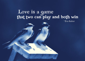 Blue Birds Quotes Photograph