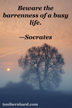 Beware the barrenness of a busy life.