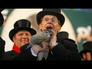 Groundhog Day 2014 Punxsutawney Phil Sees Shadow picture