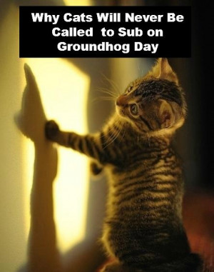 happy groundhog day groundhog subs fail