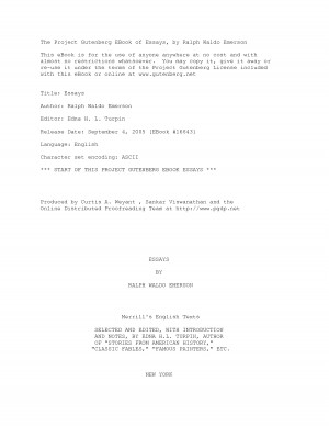 Social conformity essay picture