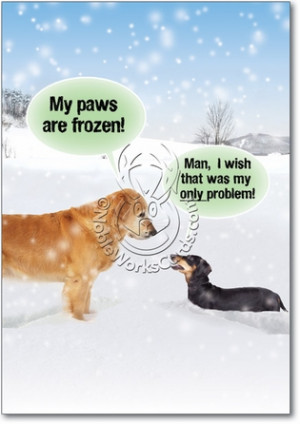My Paws Are Frozen Unique Funny Christmas Card Nobleworks