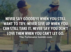 ... Never Say You Don’t Love Them When You Can’t Let Go ~ Goodbye