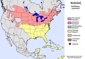 Yellow Headed Blackbird Range Bobolink - species range map