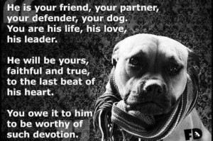 Pitbull Dog Quotes And Sayings Dog quotes