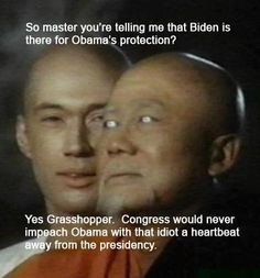 Grasshopper & politics. . . . More