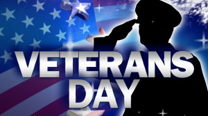 Veterans day pictures 2014