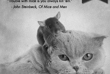 quotes from cats, authors, and cat lovers, as well as great litter ...