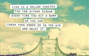 life is a roller coaster