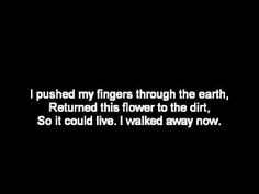 Rise Against Lyrics ... ♥