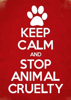 KEEP CALM AND STOP ANIMAL CRUELTY