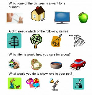 Needs and Wants Worksheet