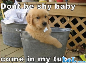 1225718938dont-be-shy-baby-come-in-my-tub.jpg