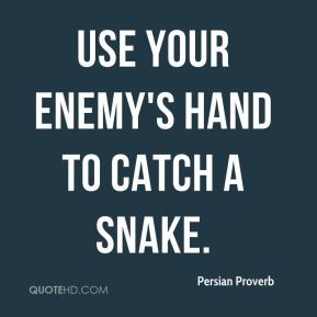 persian-proverb-quote-use-your-enemys-hand-to-catch-a-snake.jpg