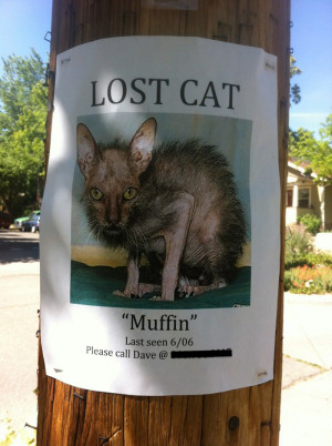 funny muffin quotes,funny facebook statuses about best friends,funny ...