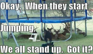 Trampoline Funny Compilation (13 Pics)