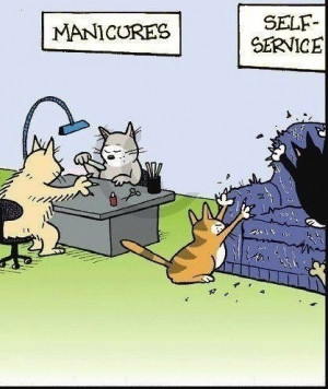 cats manicure joke pic ROFL Funny Cartoon Joke!