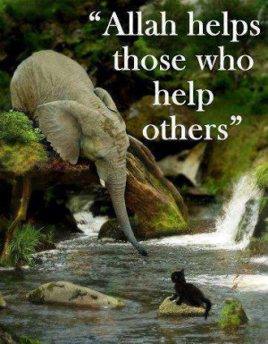 helping others islamic quotes Allah helps those who help