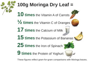 The nutritional benefits of moringa dry leaf powder