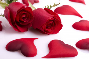 Red-Rose-Love-Heart-Shaped-Petal-HD-Wallpaper