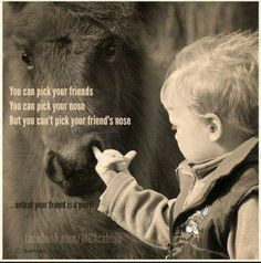 You an pick your friends, you can pick your nose, but you can't pick ...