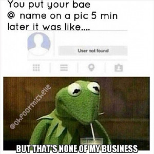 Top 20 Funniest Kermit The Frog Memes