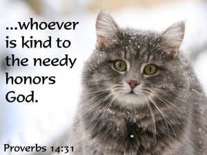 Bible Quotes About Kindness To Animals. Nice Quote For The Day. View ...
