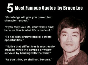 bruce lee 2