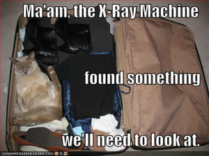 Ferrets: We offer Rabies vaccinations for ferrets.