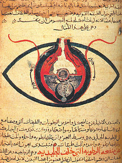 Manuscrito en árabe describiendo el ojo . Finales del siglo XII .