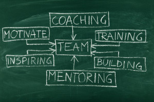mentoring-vs-coaching.jpg